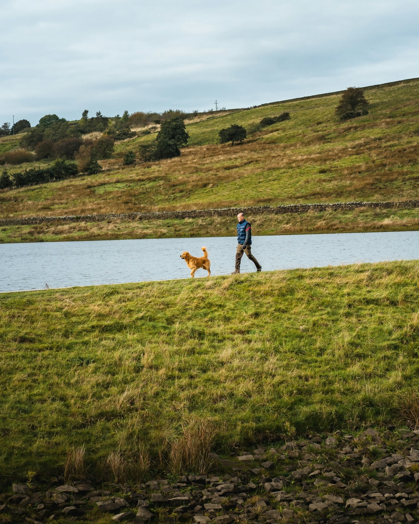 Understanding Positive Reinforcement in Dog Training