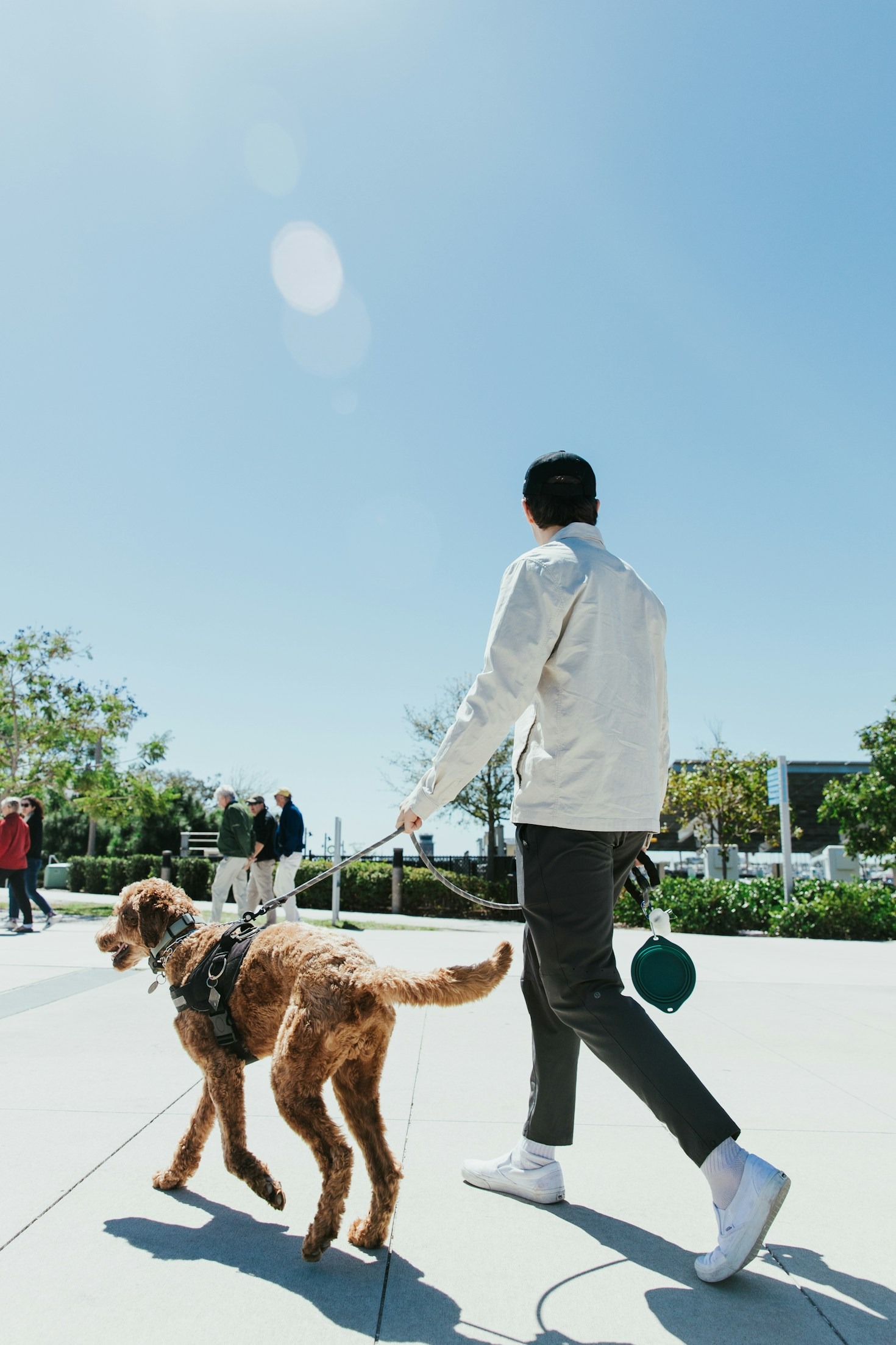 Daycare Activities to Keep Your Dog Engaged